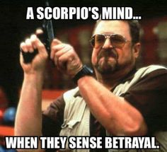 30 Best Scorpio Memes - Astrology Special - SayingImages.com Saturday Memes, Saturday Humor, Special Needs Mom, Funny Ecards, Microcar, Mom Memes, Ecards Funny, Super Funny