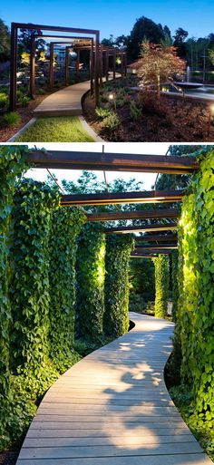 the walkway is covered in green plants and has an open area for people to walk through