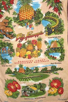 an old hawaiian towel with pictures of pineapples and other tropical fruits on it