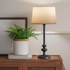 a potted plant sitting on top of a wooden table next to a white lamp