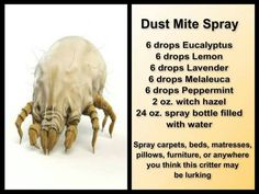 Dust Mite Spray, Essential Oils Cleaning, Bug Spray, Homemade Cleaning Products, Natural Cleaning, Room Smells, Young Living Oils