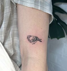 a small bird tattoo on the arm