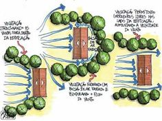 a diagram showing the different stages of growing broccoli and how to use them