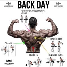 the back day workout plan for men with muscles and exercises to gain their upper body