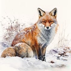 a painting of a fox sitting in the snow with it's head turned to the side