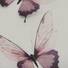 three purple butterflies flying in the air with their wings spread wide and open, on a white background