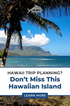 a palm tree with the words hawaii trip planning? don't miss this hawaiian island learn more