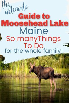 the ultimate guide to moosehead lake maine so many things to do for the whole family