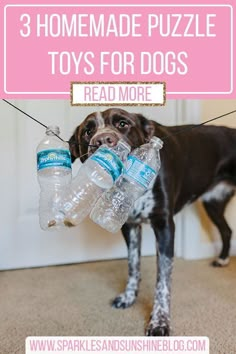 a dog holding two water bottles in it's mouth with the words 3 homemade puzzle toys for dogs read more