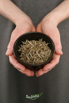 two hands holding a black bowl filled with green tea