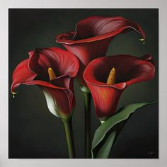 three red flowers with green leaves on a black background