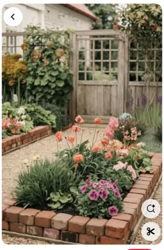 an image of a garden with flowers and plants in the foreground, on instagram