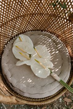 two white flowers sitting on top of a cushion in a wicker basket next to a plant