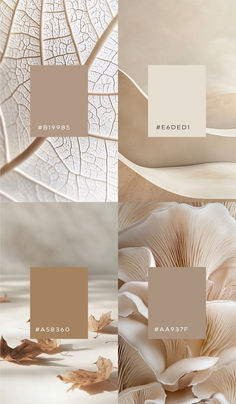 This natural moodboard is perfect for anyone who loves nature's subtle elegance. It blends simple design with rich textures to create a soothing and grounding vibe. It's great for projects that aim to showcase the understated beauty of natural elements, crafting spaces that are calming and visually engaging.#colourpalette #colorpalette #colourinspo #colorinspo #brandingdesign Natural Moodboard, Pretty Website, Website Color Palette, Exterior House Paint Color Combinations, Reference Chart, Board Inspiration, Interior Design Mood Board, Subtle Elegance, Mood Board Inspiration