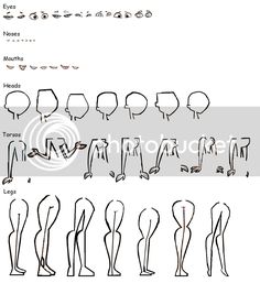 an image of different types of legs and feet