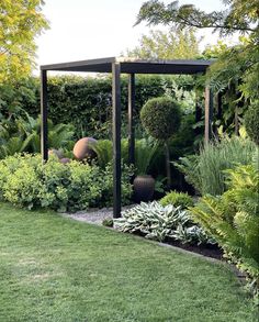 a garden with lots of plants and trees