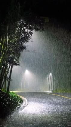 a person with an umbrella standing in the rain