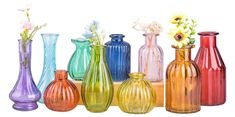 there are many different colored vases in this group together, each with one flower