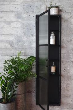 a tall black cabinet next to a potted plant and a wall mounted medicine bottle