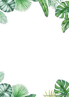 the frame is made up of green leaves and plants on a white background with space for text