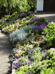 a garden with lots of plants growing on the side of it and a lamp post