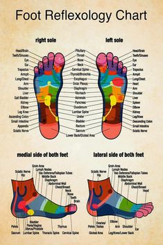 Massage Therapist Foot Reflexology Chart 1 Poster, Vintage Poster - Etsy Autogenic Training, Bolesti Chrbta, Healing Touch