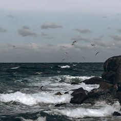 seagulls flying over the ocean with rocks and waves