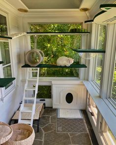 a white cat sitting on top of a window sill next to a dog house