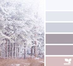 the color palette is pale, grey and white with some brown accents in it to give this wintery feel