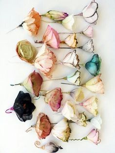 several dried flowers arranged on a white surface