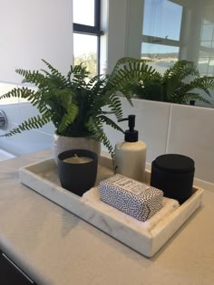 a bathroom counter with a plant and soap on it