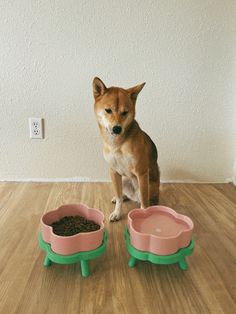 a dog sitting on the floor next to two bowls with food in them