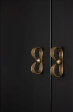 two black and gold doors with brass letters on the front one has a letter b in the middle