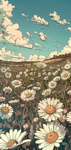 a field full of white daisies under a cloudy blue sky