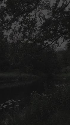 a black and white photo of a pond with trees in the background at night time