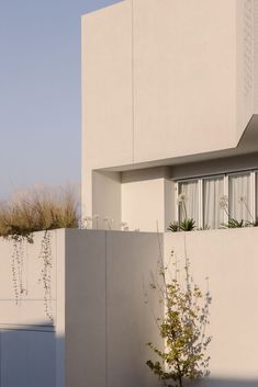 a tall white building sitting next to a tree