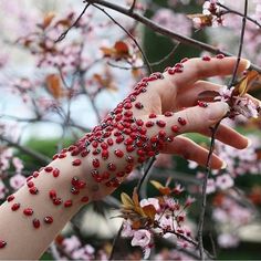 a woman's arm with red beads on it and pink flowers in the background