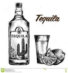 tequila tequila bottle and glass with limes on the side stock photo - image 3497