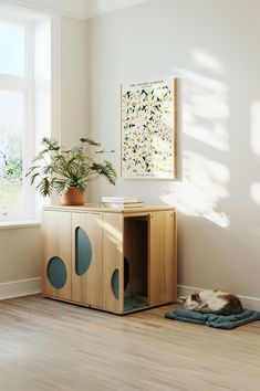 a cat laying on top of a rug next to a wooden cabinet in a room