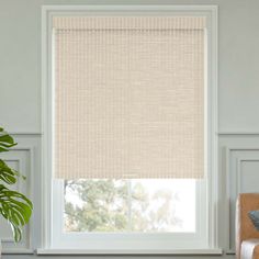 a living room with a large window covered in beige blinds and a plant next to it