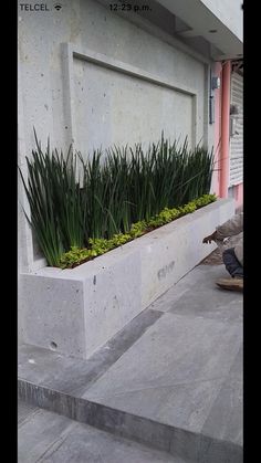 a man sitting on the sidewalk next to a planter filled with grass