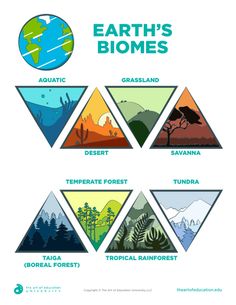 the earth's biomes poster shows different types of plants and animals in their natural habitat