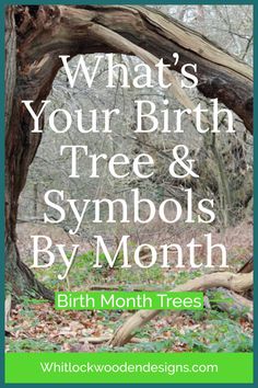 a tree with the words, what's your birth tree and symbols by month?