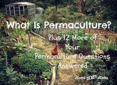 an image of what is permaculture? plus 2 more of your permaculture questions answered