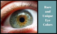 Close up of a hazel eye, which are more rare than you might think. Iridology Chart, Central Heterochromia, Heterochromia Eyes, Eye Color Blue, Iris Eye