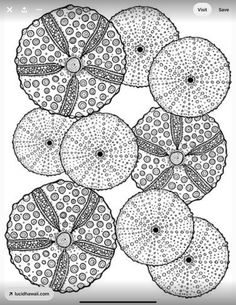 several umbrellas with polka dots on them are arranged in a circle, vintage line drawing or engraving illustration