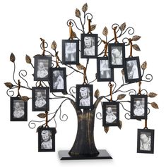 a family tree with four frames hanging from it's sides and leaves on the branches