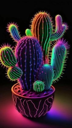 a potted cactus with neon lights in it's dark room on a black background