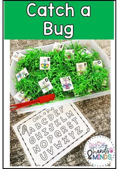 an image of a catch a bug game with letters and numbers in the box on the ground