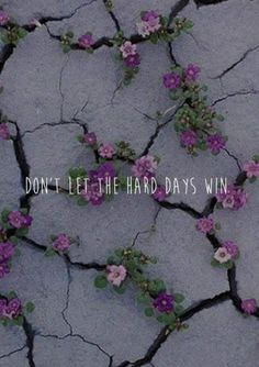 the words don't let the hard days win on cracked concrete with flowers growing out of it